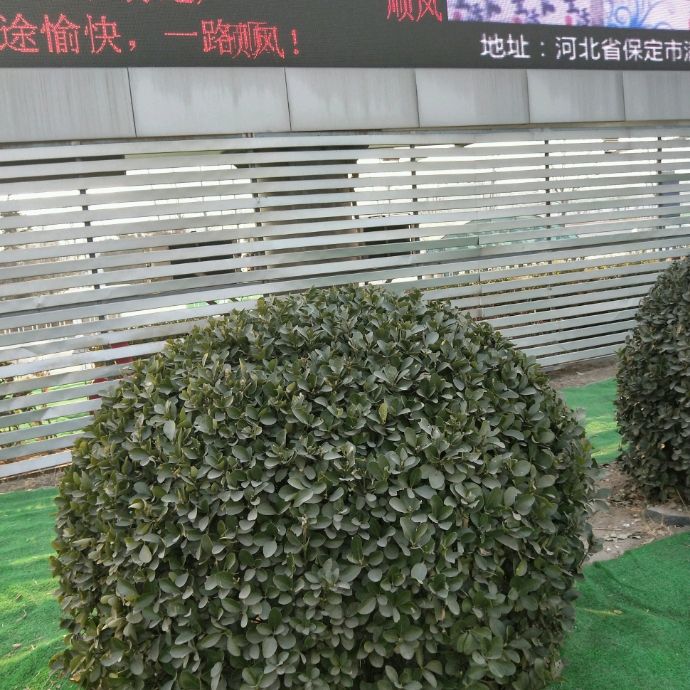 小7手游用户头像