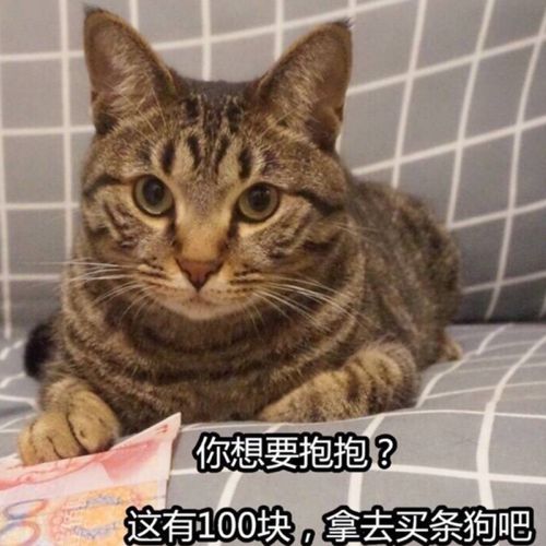 小7手游用户头像