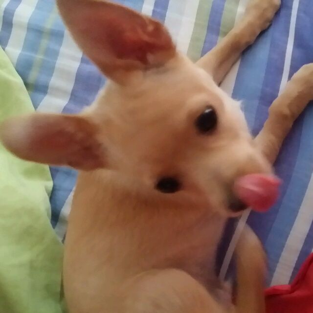 小7手游用户头像
