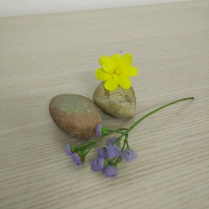 小7手游用户头像