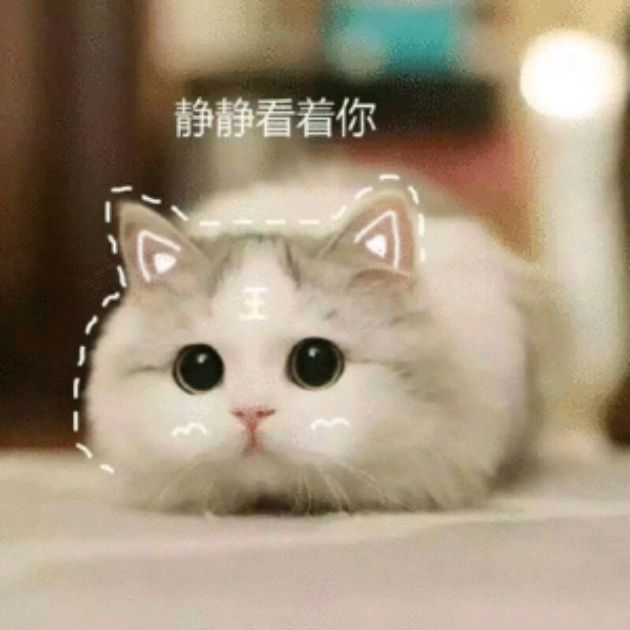 小7手游用户头像